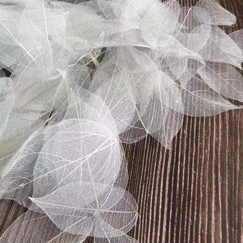 Dried Flower Bouquet - 5~9CM*2~3.5CM, 100개/세트, 진짜 건조된 천연 바즈라