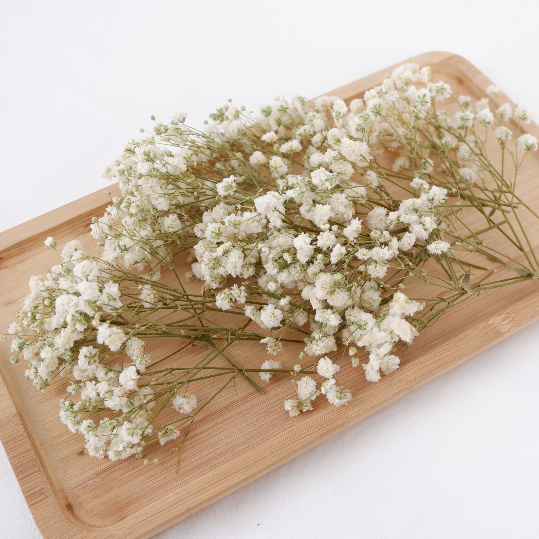 Dried Flower Bouquet - 말린 꽃 흰색 미니 드라이드 베이비