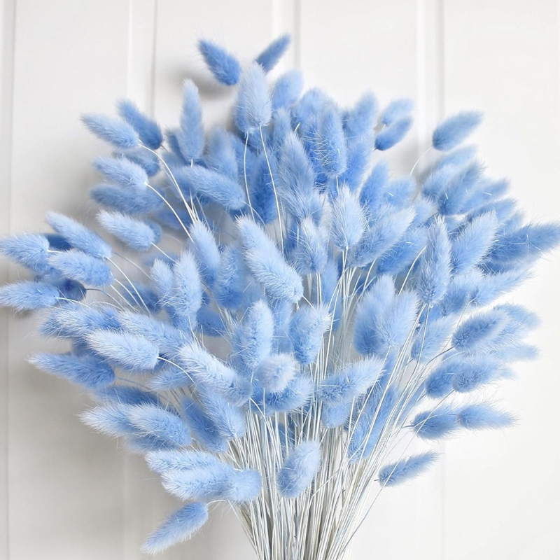 Dried Flower Bouquet - 100PCS 블루 토끼 꼬리 잔디 토끼