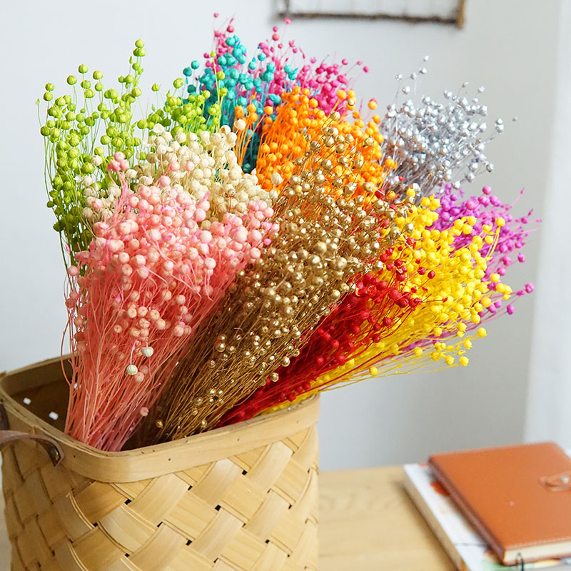 35g/보존된 오르모시아 호세이 천연 진짜 꽃 다채로운 - Dried Flower Bouquet 리뷰 및 가격