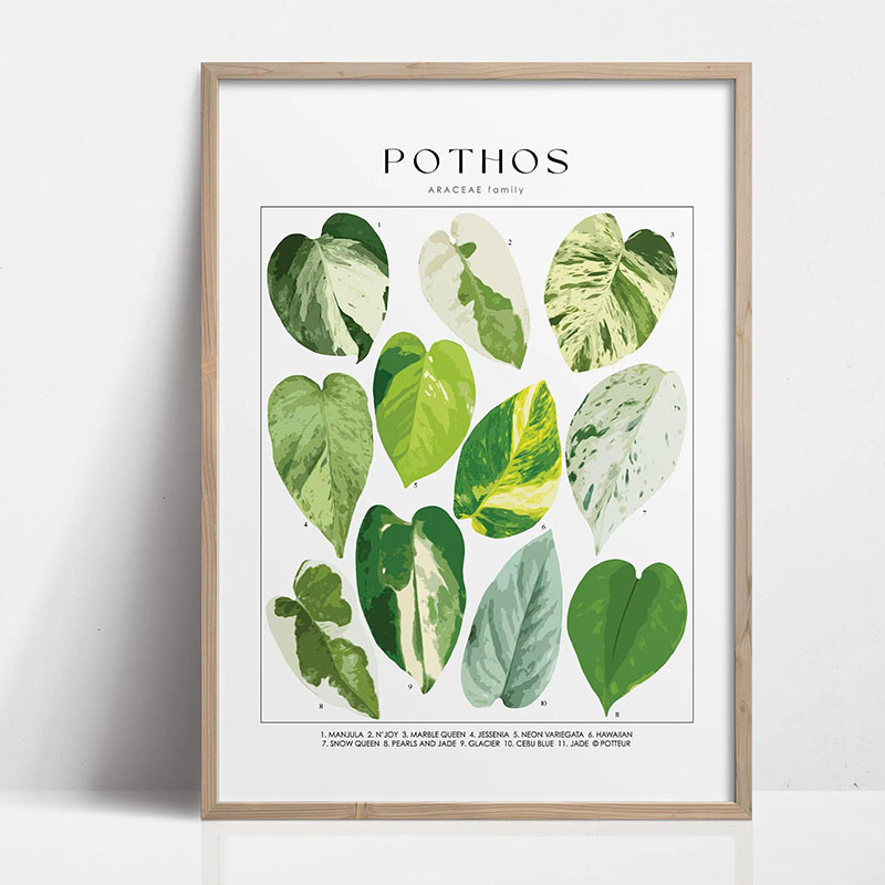 1pc 현대 실내 식물 잎 캔버스 벽 아트 프린트, 거 - Home Decor Design Interior 리뷰 및 가격