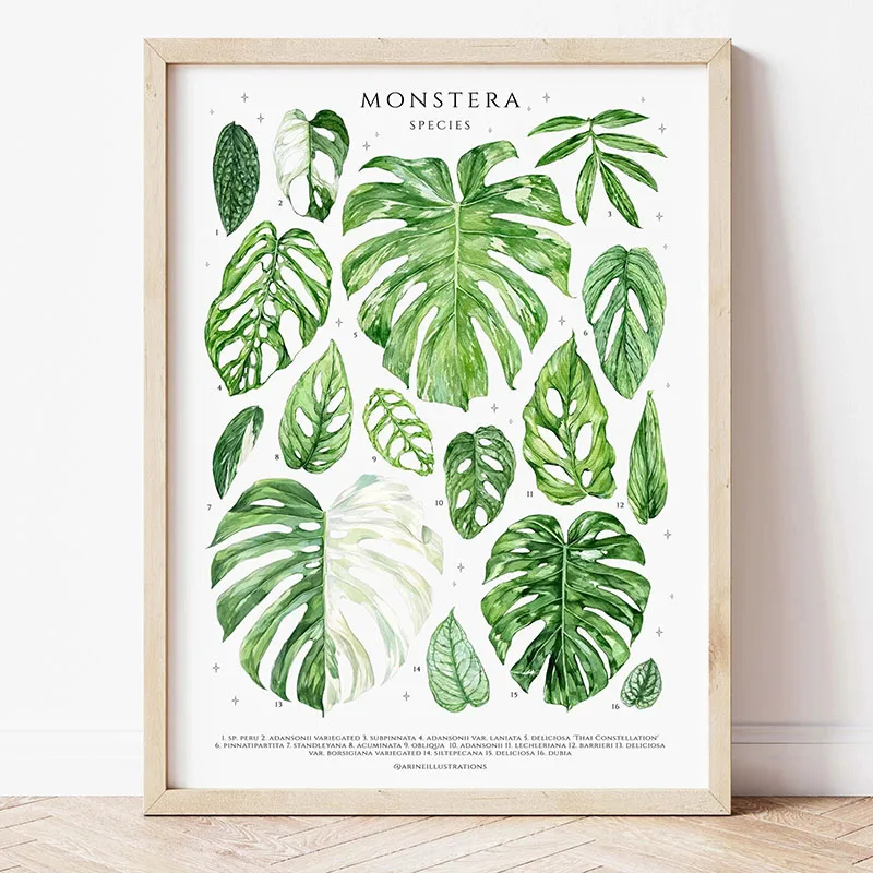 1pc 현대 실내 식물 잎 캔버스 벽 아트 프린트, 거 - Home Decor Design Interior 리뷰 및 가격