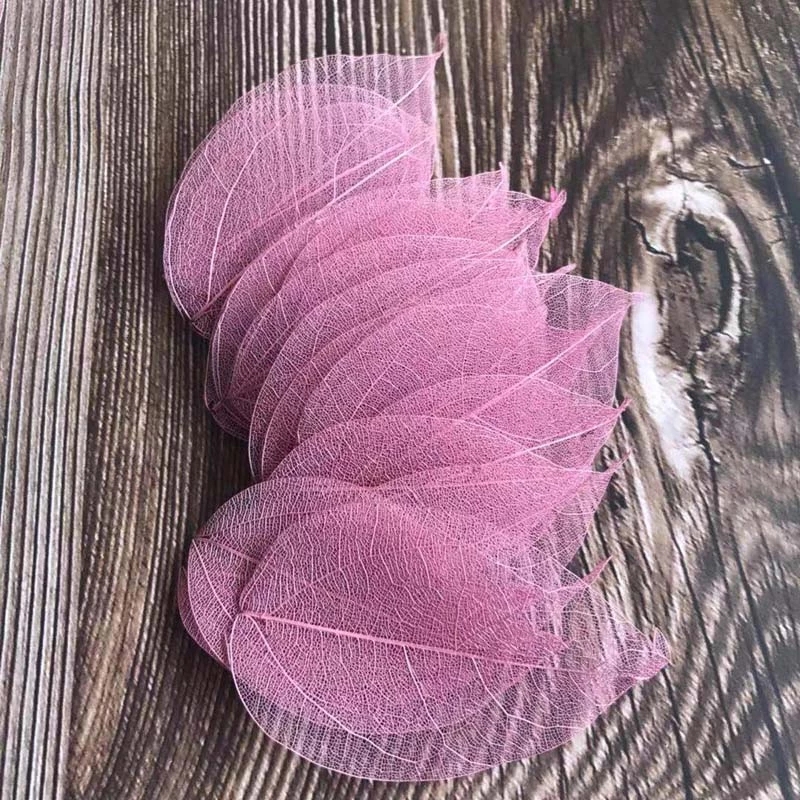 5~9CM*2~3.5CM, 100개/세트, 진짜 건조된 - Dried Flower Bouquet 리뷰 및 가격