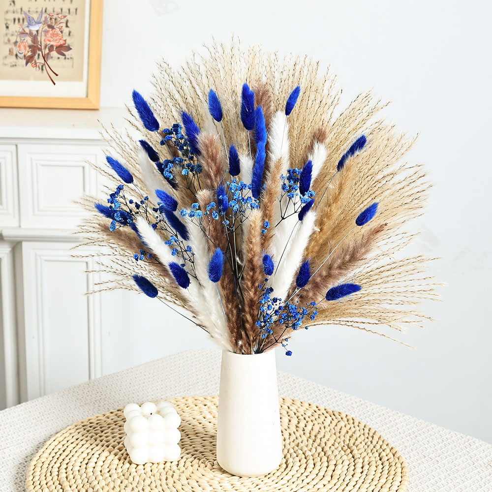 70 줄기 블루 푹신한 토끼 꼬리 팜파스 잔디 묶음 말 - Dried Flower Bouquet 리뷰 및 가격