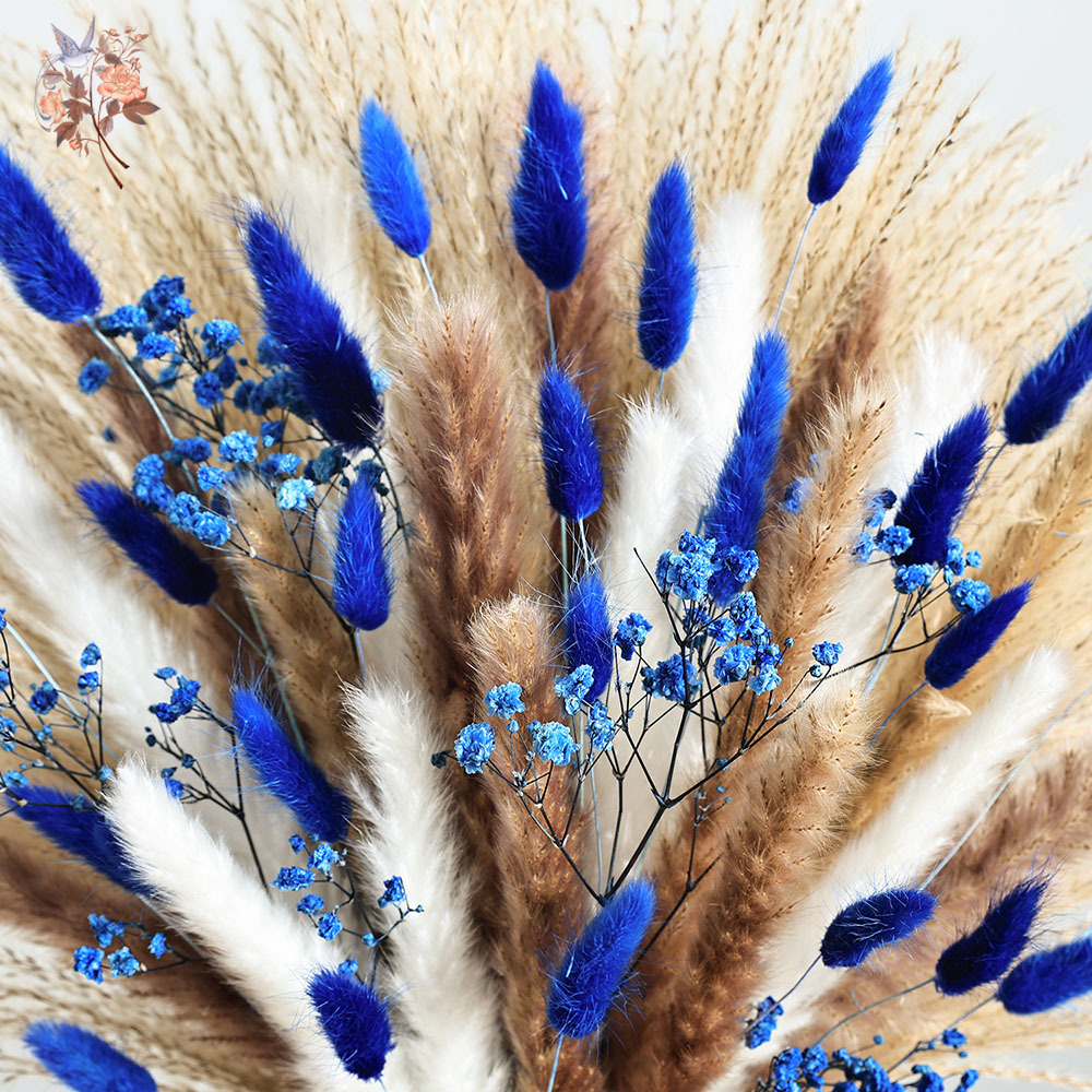 70 줄기 블루 푹신한 토끼 꼬리 팜파스 잔디 묶음 말 - Dried Flower Bouquet 리뷰 및 가격