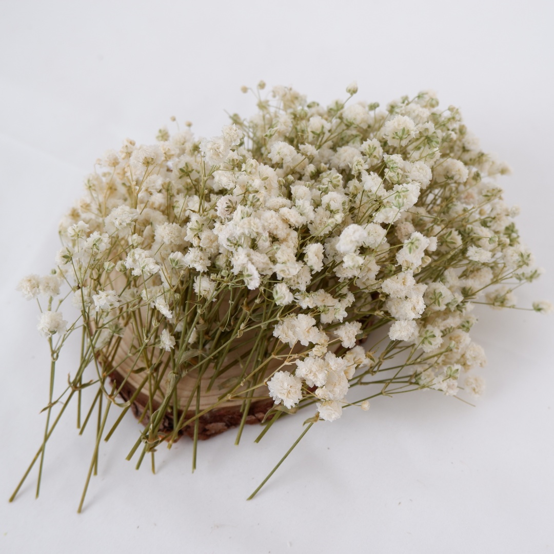 말린 꽃 흰색 미니 드라이드 베이비 브레스 장식용 꽃  - Dried Flower Bouquet 리뷰 및 가격