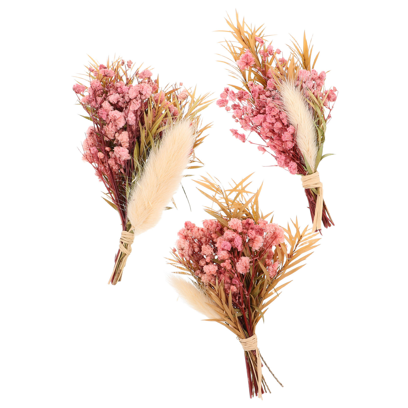3개 미니 드라이플라워 부케, 자연스러운 작은 드라이플 - Dried Flower Bouquet 리뷰 및 가격