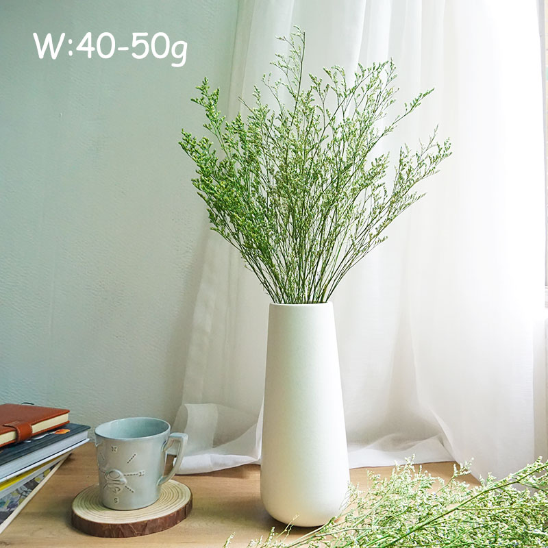50g/보존된 발렌타인 그래스 리모니움 꽃 연인의 꽃꽂 - Dried Flower Bouquet 리뷰 및 가격