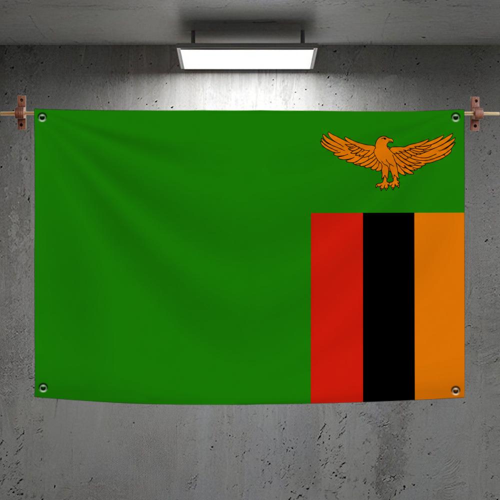 잠비아 국기 맞춤형 벽걸이 배경 아트 배너 침실 가정  - Home Decor Zambia 리뷰 및 가격