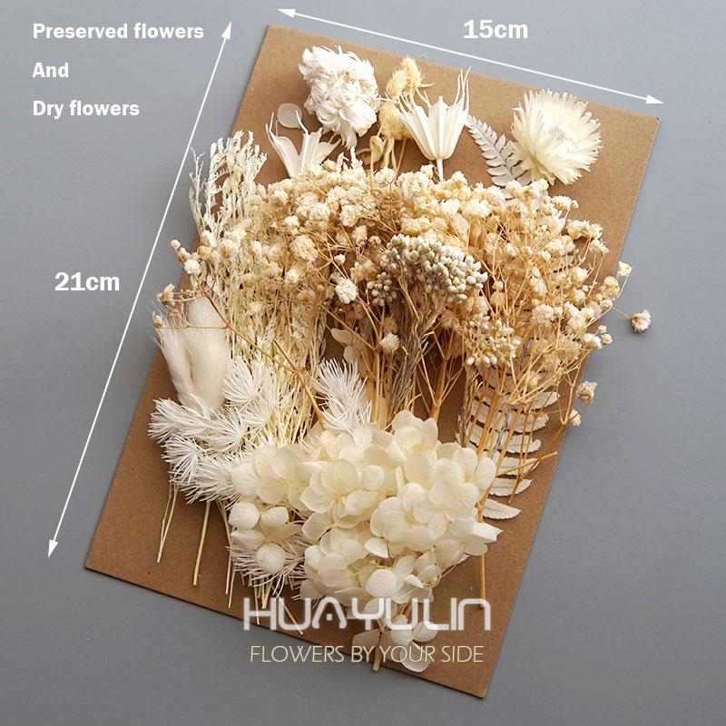 1 팩 인공 식물 말린 진짜 꽃 보존 재료 에폭시 수지 - Dried Flower Bouquet 리뷰 및 가격