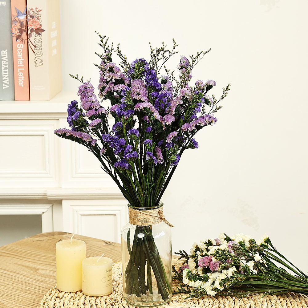 100g 천연 진짜 물망초 꽃 꽃다발 믹스 리모니엄 잔 - Dried Flower Bouquet 리뷰 및 가격