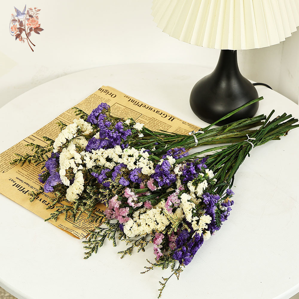 100g 천연 진짜 물망초 꽃 꽃다발 믹스 리모니엄 잔 - Dried Flower Bouquet 리뷰 및 가격