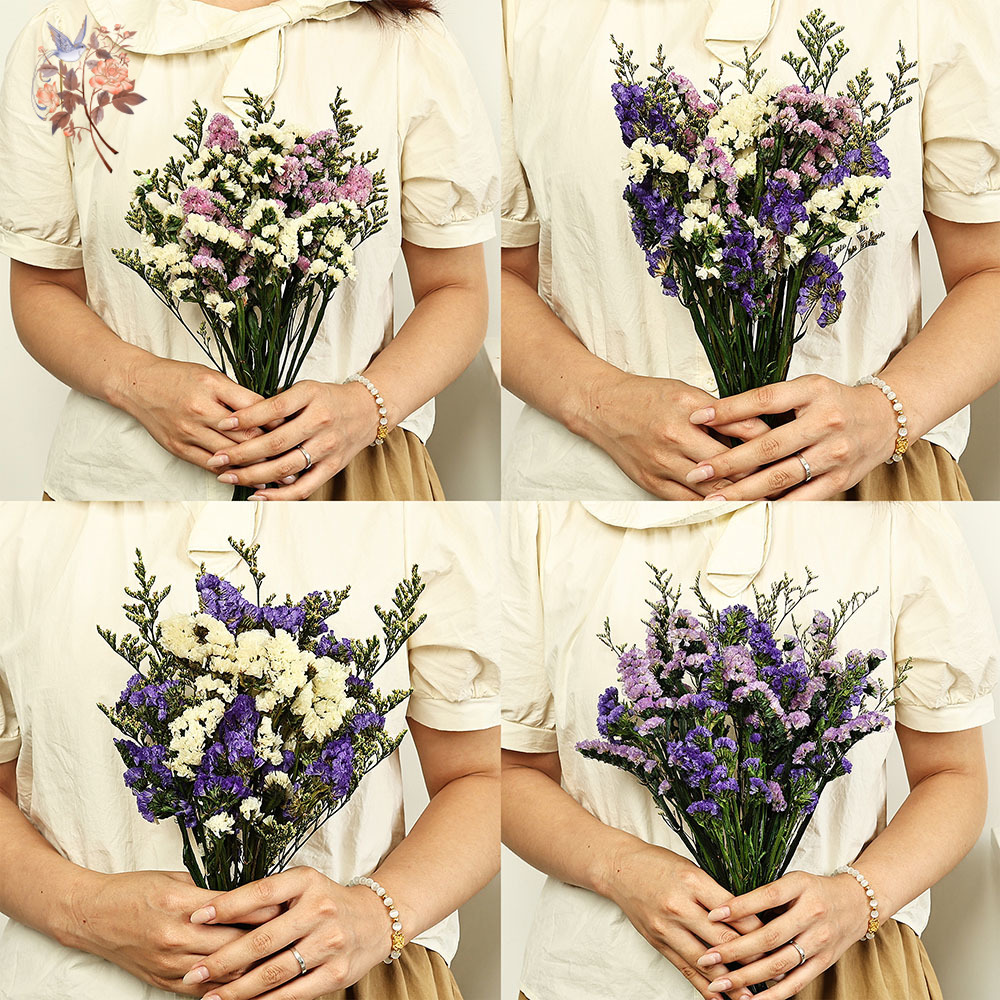 100g 천연 진짜 물망초 꽃 꽃다발 믹스 리모니엄 잔 - Dried Flower Bouquet 리뷰 및 가격