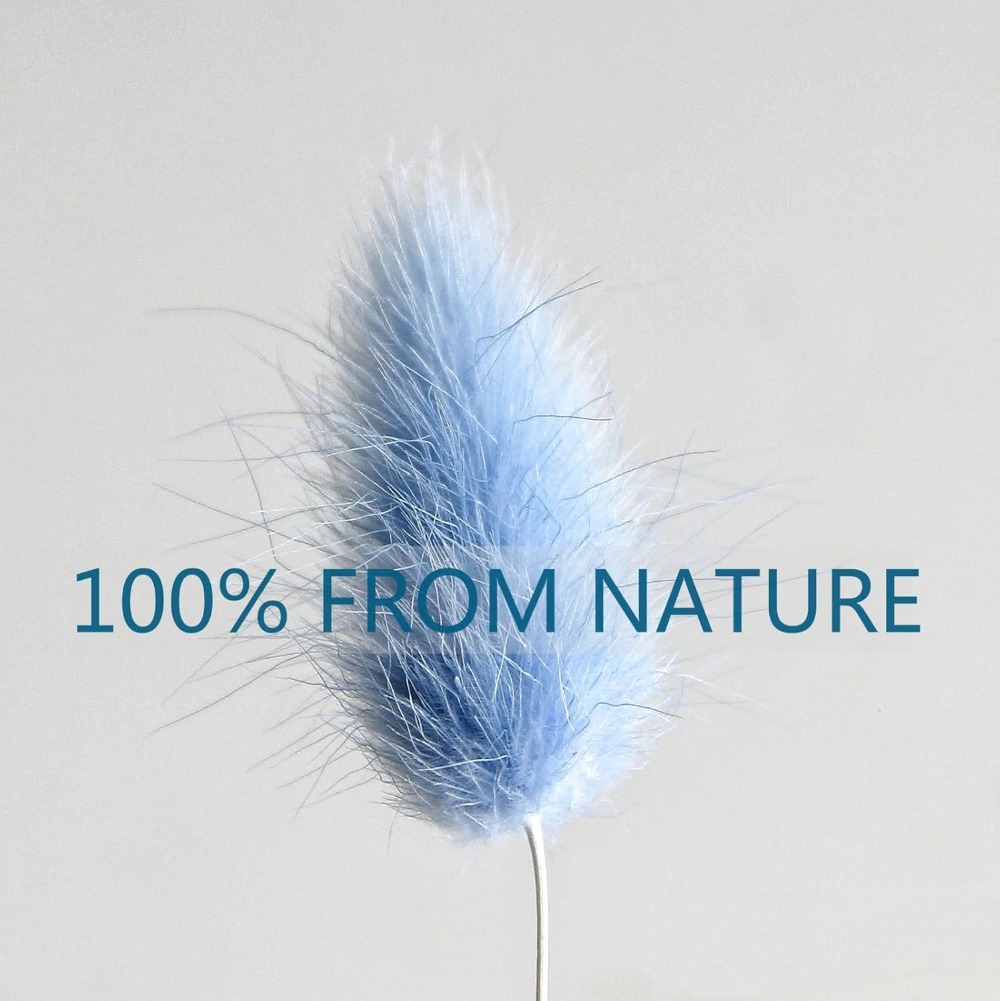 100PCS 블루 토끼 꼬리 잔디 토끼 꼬리 홈 룸 생 - Dried Flower Bouquet 리뷰 및 가격