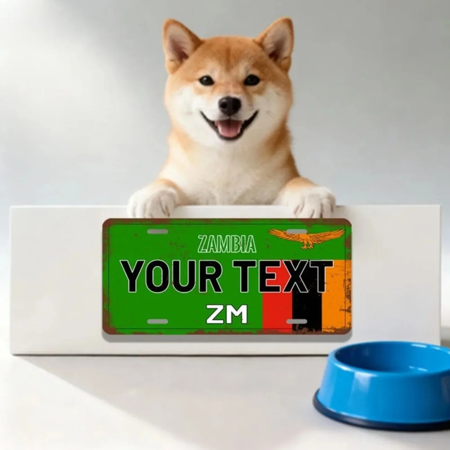 맞춤형 개인화 잠비아 알루미늄 간판 빈티지 벽 장식 ( - Home Decor Zambia 리뷰 및 가격