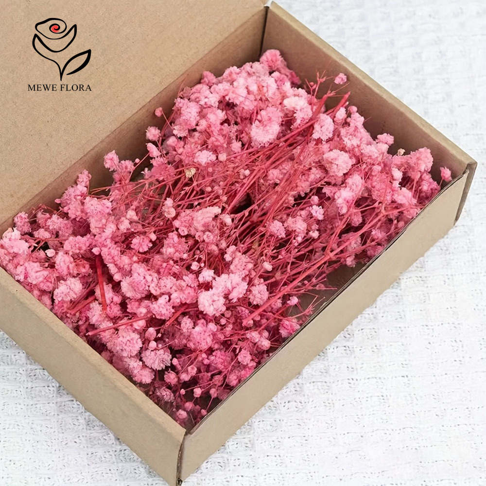 카드 만들기 DIY 공예 미니 안개꽃 꽃다발 홈 웨딩  - Dried Flower Bouquet 리뷰 및 가격
