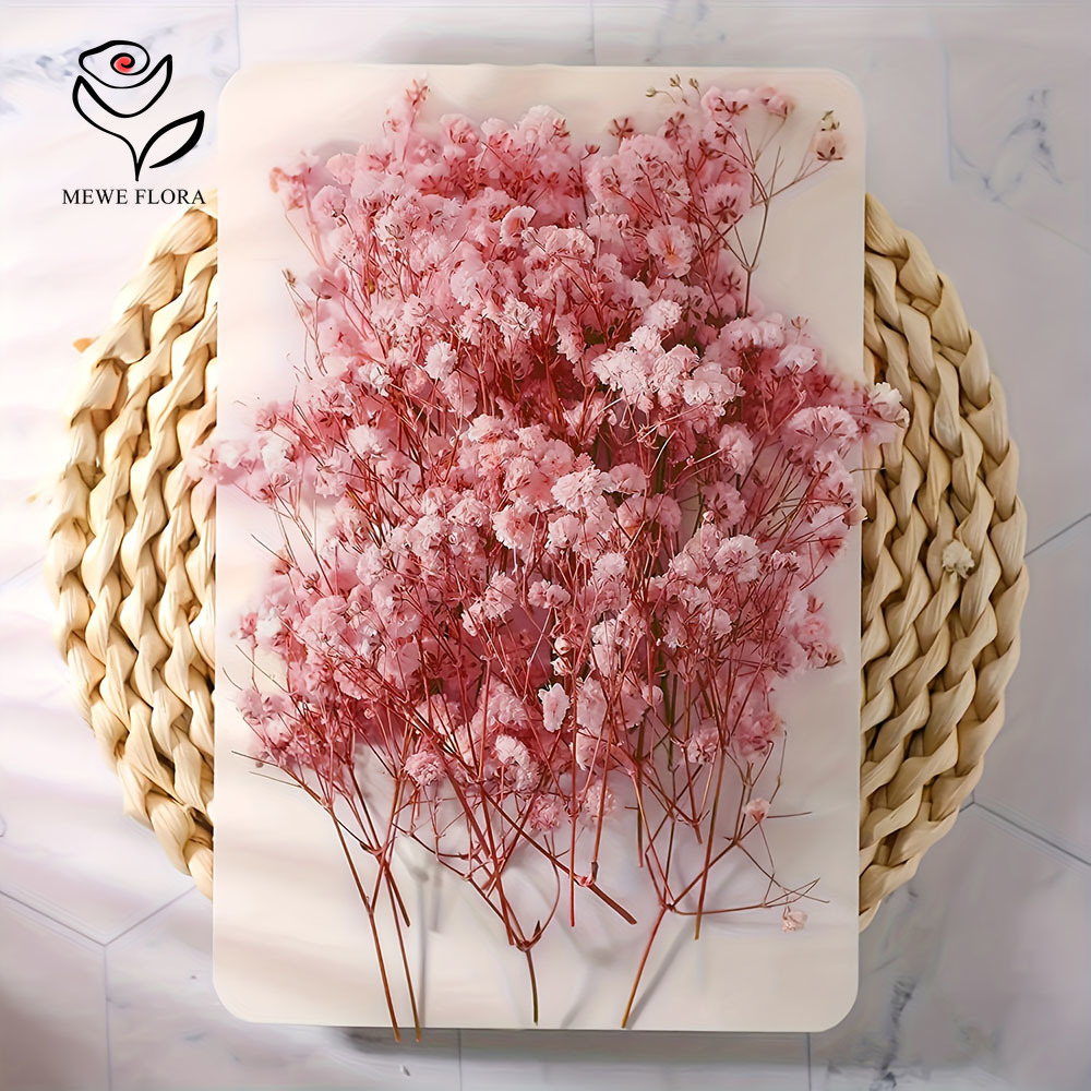 카드 만들기 DIY 공예 미니 안개꽃 꽃다발 홈 웨딩  - Dried Flower Bouquet 리뷰 및 가격